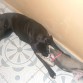 Estoy jugando con mi hermanita